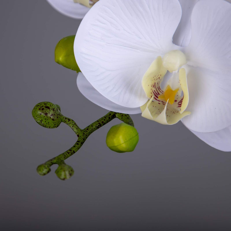 Fnize Orchid Stems Artificial Flowers Real Touch Latex Faux Phalaenopsis Branches 9 Large Blooms 38 Inches 2pcs White - Image 3